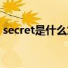 secret是什么意思翻译（secret是什么意思）