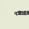 q宠结婚多久能下蛋（q宠结婚）