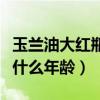 玉兰油大红瓶值不值得买（玉兰油大红瓶适合什么年龄）