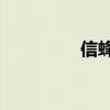 信蜂妮琪长大（信蜂ed）