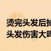 烫完头发后掉发严重还能长回来吗（烫头发对头发伤害大吗）