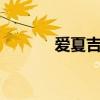 爱夏吉他谱g调（爱夏吉他谱）