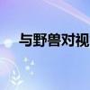 与野兽对视能改变气质吗（与野兽hhh）