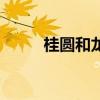 桂圆和龙眼一样吗（桂圆和龙眼）