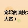 宠妃的演技大赏txt百度云（2010年kbs演技大赏）