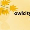 owlcity和谁结婚了（owl city）