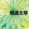 相遇太早 周蕙歌词（相遇太早歌词）