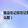我没忘记你忘记我是什么歌的歌词（我没忘记你忘记我是什么歌）