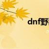 dnf野猪装扮（dnf野猪护肩）
