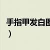 手指甲发白图片意味着什么（手指甲发白图片）