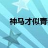 神马才似青春的上一句（神马才似青春）