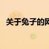 关于兔子的网名两个字（关于兔子的网名）