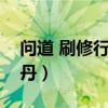 问道 刷修行 宠物经验才2点（问道宠物修炼丹）