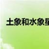 土象和水象星座有哪些（水象星座有哪些）