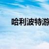 哈利波特游戏steam（哈利波特6游戏）