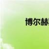 博尔赫斯诗集推荐（诗集推荐）
