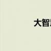 大智慧股吧（大智慧5 98）