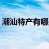 潮汕特产有哪些可以方便携带的（潮汕特产）