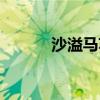沙溢马苏电视剧（马苏电视剧）