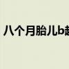 八个月胎儿b超数据（怀孕8个月胎儿b超图）