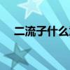 二流子什么意思是流氓吗（二流子一个）