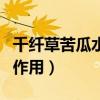 千纤草苦瓜水的功效与作用（苦瓜水的功效与作用）
