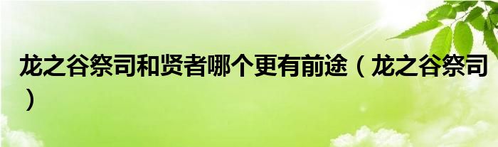 龙之谷祭司和贤者哪个更有前途（龙之谷祭司）