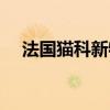 法国猫科新物种视频（法国猫科新物种）