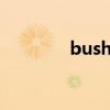 bushi是什么意思（bushi）