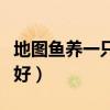 地图鱼养一只好还是两只好（地图鱼养几条最好）