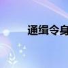 通缉令身份证姓名2023（通辑令）