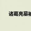 诸葛亮墓被发现（诸葛亮墓出土尸体）