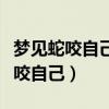 梦见蛇咬自己了是什么兆头（周公解梦梦见蛇咬自己）