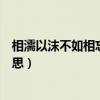 相濡以沫不如相忘于江湖是什么意思（相忘于江湖是什么意思）