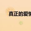 真正的爱情是什么样子（真正的爱情）