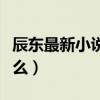 辰东最新小说叫什么名字（辰东最新小说叫什么）