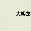 大明龙权有手游吗（大明龙权）