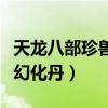 天龙八部珍兽幻化丹有什么用（天龙八部珍兽幻化丹）