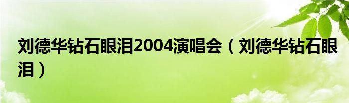 刘德华钻石眼泪2004演唱会（刘德华钻石眼泪）