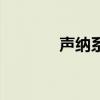 声纳系统的原理（声纳系统）