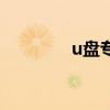 u盘专杀破解版（u盘专杀）