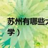 苏州有哪些大学是985和211（苏州有哪些大学）