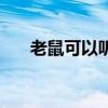 老鼠可以听懂人话吗（老鼠可以吃吗）