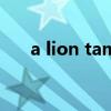 a lion tamer怎么读（tamer怎么读）