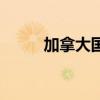 加拿大国球是什么（国球是什么）