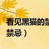 看见黑猫的禁忌有什么预兆说法（看见黑猫的禁忌）