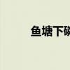 鱼塘下磷肥的作用（磷肥的作用）