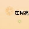 在月亮下面简介（在月亮下面）