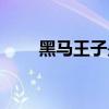 黑马王子是什么（黑马王子啥意思）