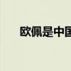 欧佩是中国品牌吗（欧佩是大品牌吗）